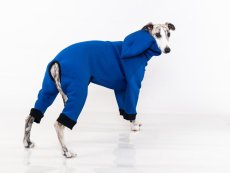 ComfyDog Overal s Kapucí