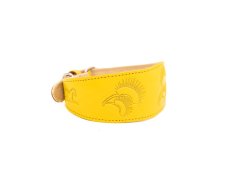 Padded Leather Sighthound Collar FangFlower