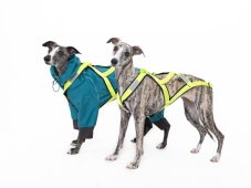 NeonTrail PRO Mushing Postroj – neon žlutá (Limited Edition)