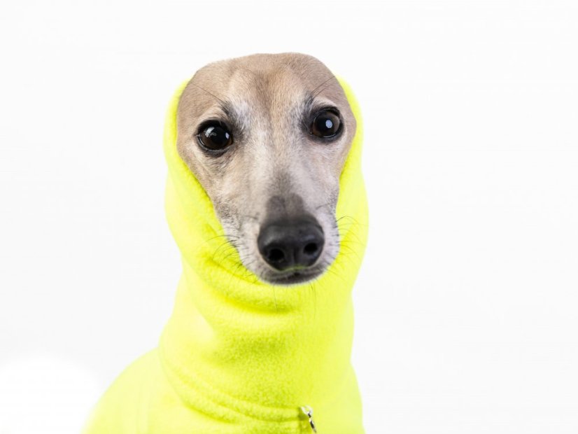 DOG FLEECE SWEATSHIRT