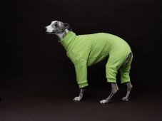 ZARYA ThermoFlex | performance functional bodysuit for dogs