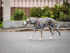 Ultralight Dog Raincoat – RAIN TO GO Leopard Pop