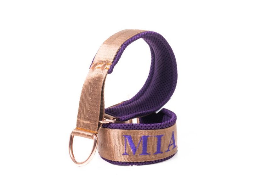 ZARYA COMFORT 3D GOLD – personalizovaný luxusní polostahovací obojek