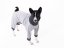 Basenji warmkeeper OVERAL