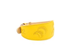 Padded Leather Sighthound Collar FangFlower
