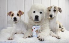 Konzerva Heinerberger masový hrnec country party 400g