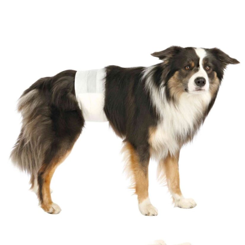 Papírové pleny pro psy (12 ks/bal.), M-l 46-60cm pas