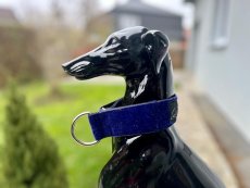 Obojok polostahovací MODRÝ 4cm