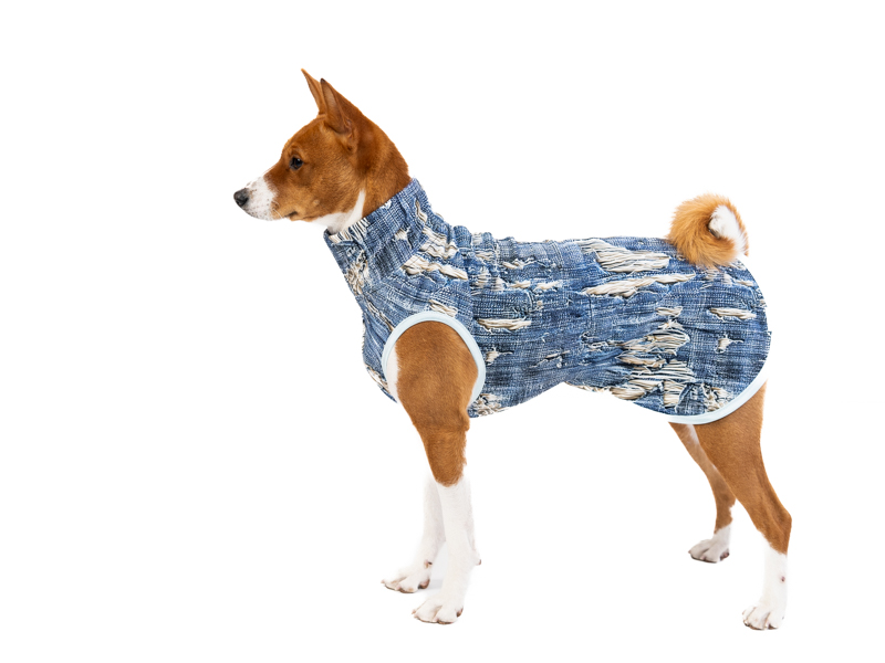 Blue Jeans – Lightweight Dog Hoodie (Tail Up)