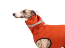 Neoprene Sport – Functional and Stylish Outfit for Active Dogs