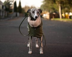 TerraLuxe Softshell Winter – zimná softshellová bunda s béžovým beránkom pre psy