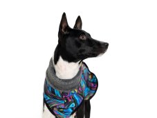 RIO Warmkeeper pre psy (strih s chvostíkom nahor)