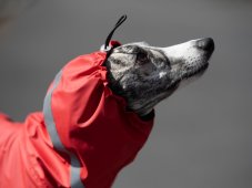 Outdoor Aqua – 100% waterproof dog raincoat