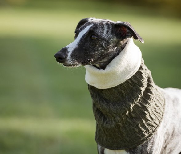 Scarf for dogs with fleece