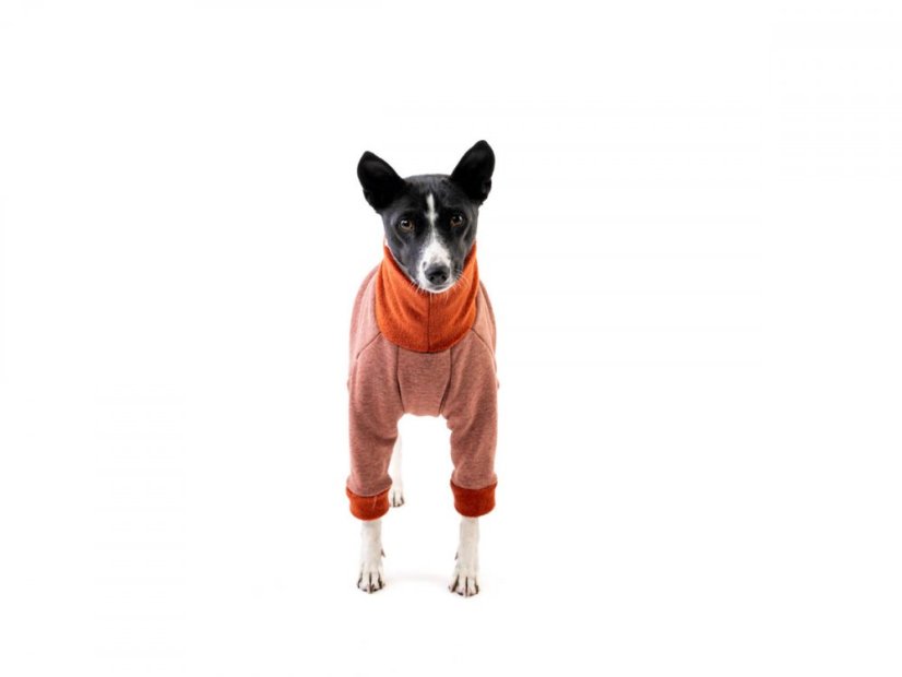 Basenji warmkeeper OVERAL