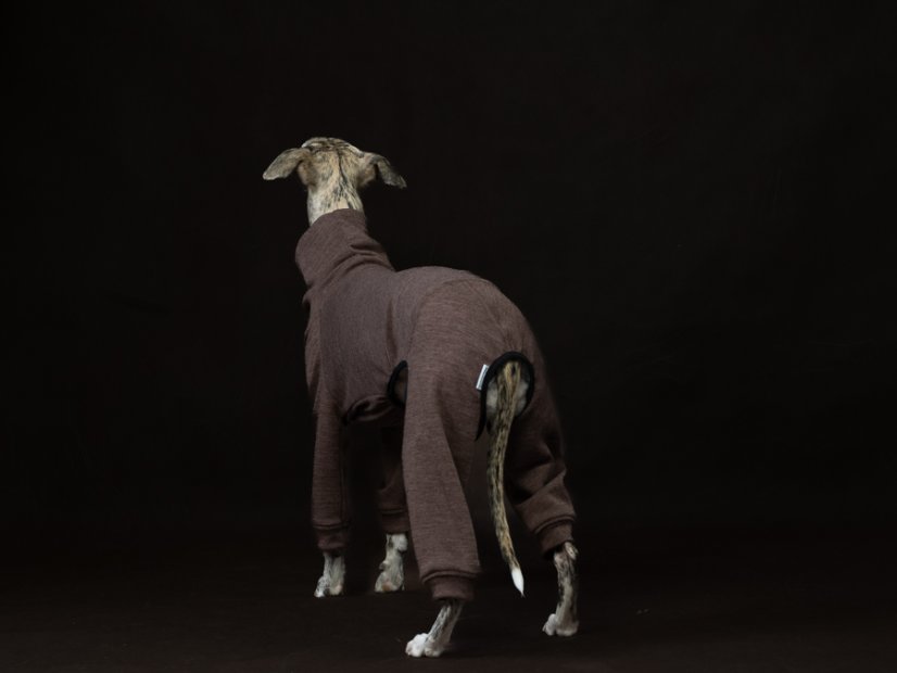 Merino overal pro psy – 100% MERINO | MUST HAVE 2026