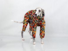 Warm Dog Overall – WARMKEEPER Skull