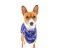 Basenji light sweatshirt VIOLET