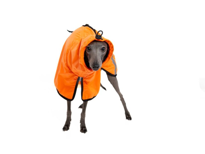 Outdoor Aqua - voděodolná pláštěnka pro psy