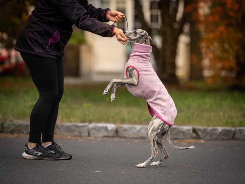 Warmkeeper Love Edition – duhová srdíčka