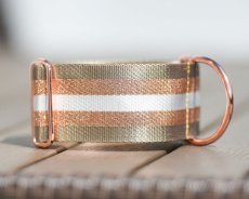 Obojok so zlatým reflexným popruhom