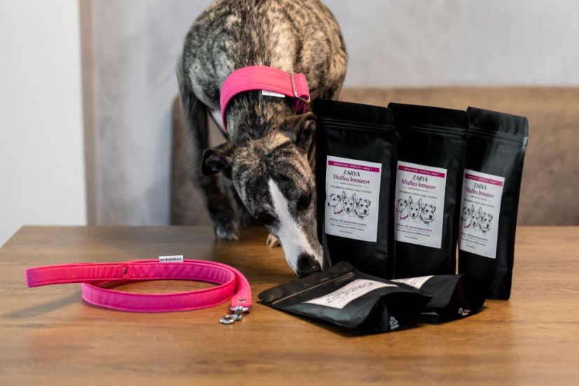 ROSE Waterproof Collar – obojek pro psy