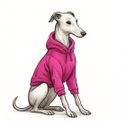 Sweaters, sweatshirts