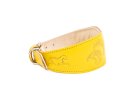 Collars